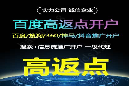 SEM广告案例：数据分析驱动营销决策