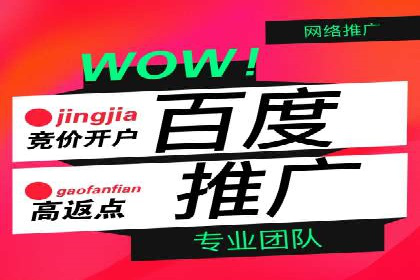 百度优化推广案例：从零开始打造爆款